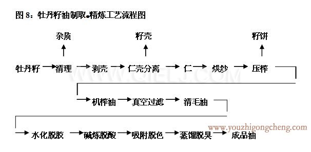 牡丹籽油榨油精煉生產(chǎn)線(xiàn)(圖4)